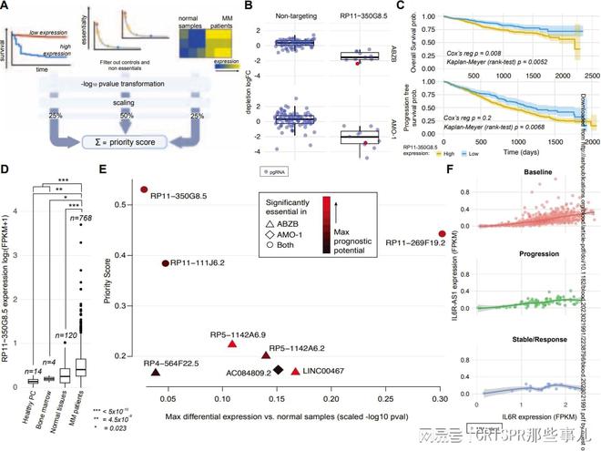 CRISPR篩選技術(shù)在多發(fā)性骨髓瘤治療靶點(diǎn)研究中的作用(圖3)