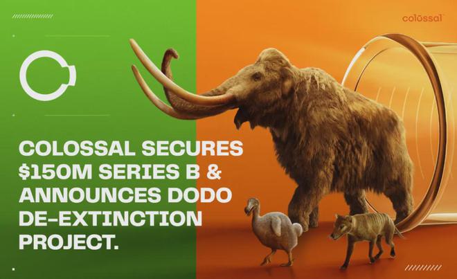 世界首次！喬治·丘奇團(tuán)隊“復(fù)活”已滅絕一萬多年的“冰原狼”計劃2028年復(fù)活猛犸象(圖6)