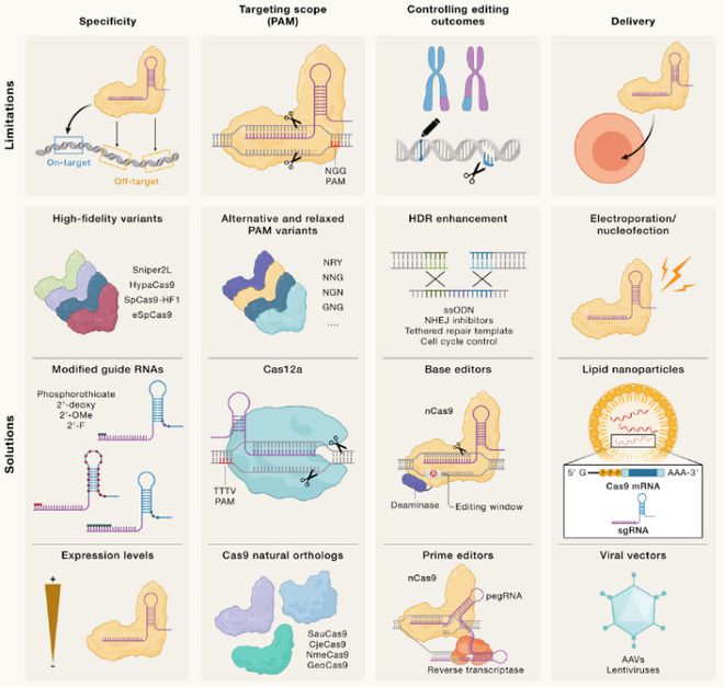 Cell｜CRISPR基因編輯技術(shù)的過去、現(xiàn)在和未來(圖3)