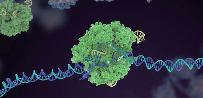 押寶CRISPR和人工智能！張澤民院士團(tuán)隊(duì)的研究方向開始更新了！(圖2)