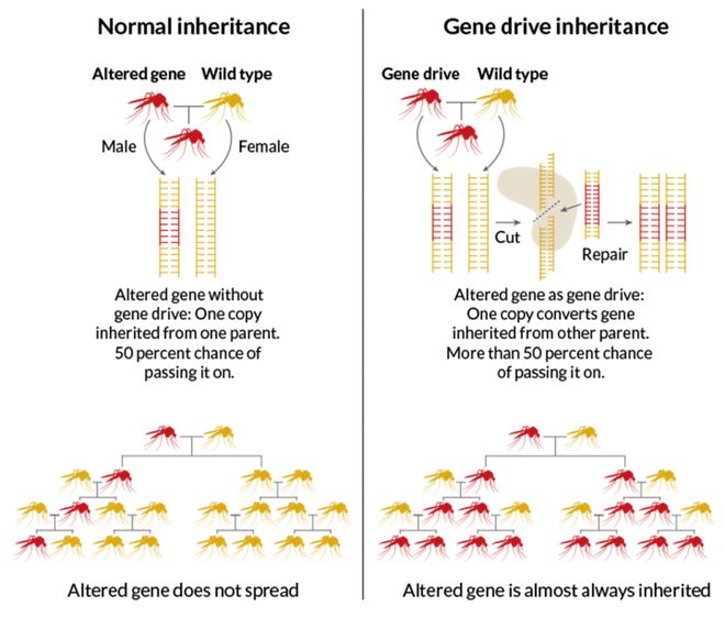 CRISPR技術及其應用CBInsights深度解析(圖8)